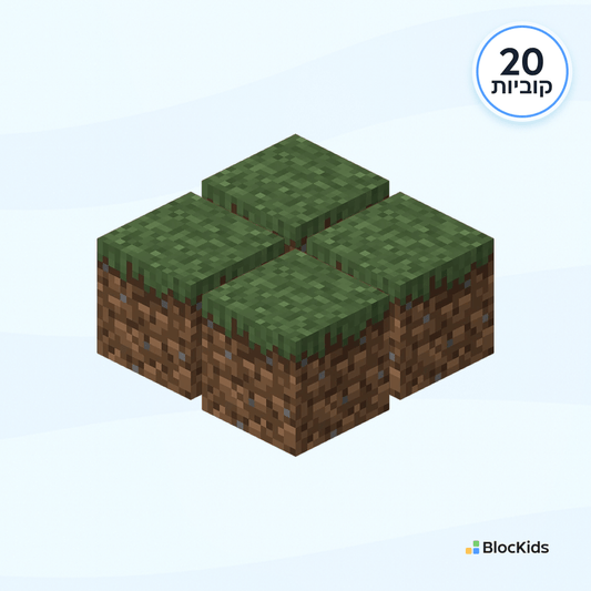 20 יחדיות קוביות מיינקראפט מגנטיות קוביית דשא - BlocKids